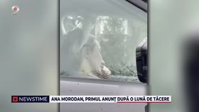 Ana Morodan, primul anunț după o lună de tăcere